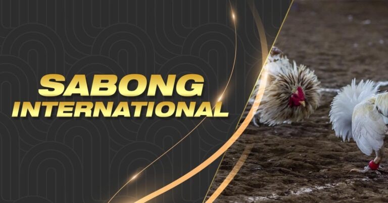 100 free bonus on registration no deposit 2024 philippines